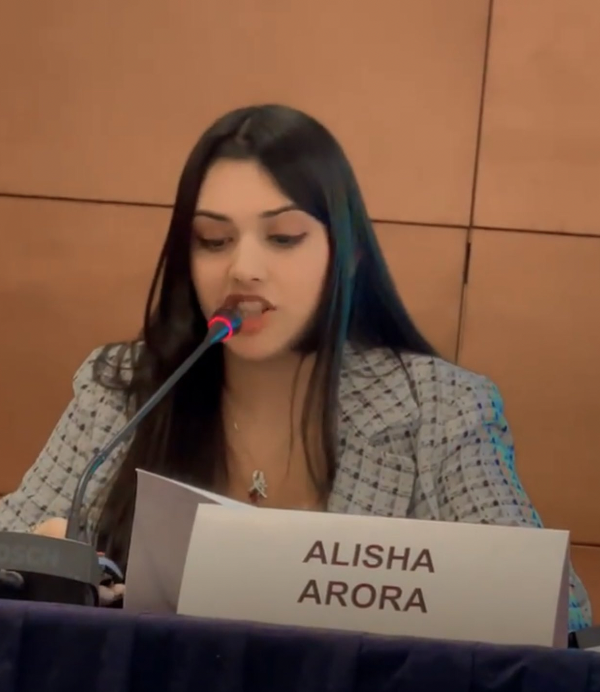 Alisha hosting a product demo